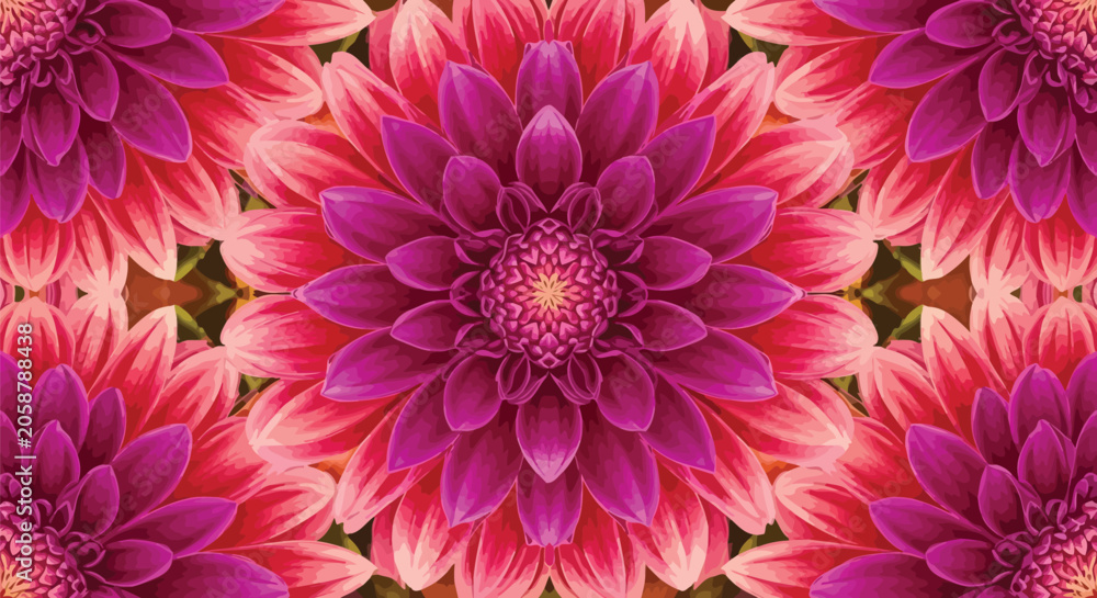 Obraz premium Vibrant Pink and Purple Dahlia Flowers Pattern Background