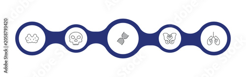 Bild auf Leinwand medical outline icon set