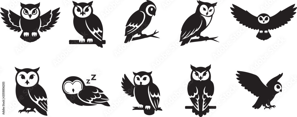 Obraz premium Owl icons, black silhouette birds, nocturnal animal symbols, vector graphics