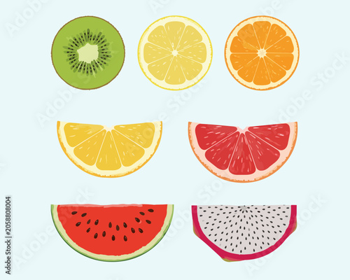 Mega fruit slice vector collection