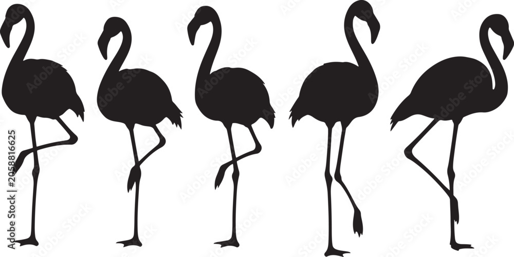 Obraz premium Flamingo silhouette set showing elegant pink birds standing in various poses for nature and wildlife graphics.