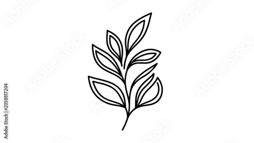 Minimalist black and white line art of a delicate plant branch with leaves