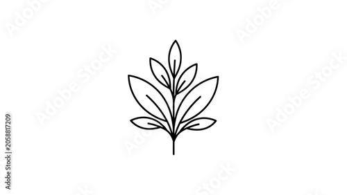Minimalist black and white line art of a delicate plant sprout with leaves