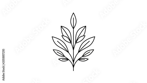 Minimalist black and white line art of a delicate plant branch with leaves