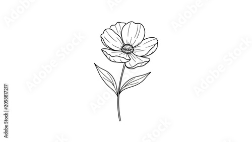 Minimalist Black and White Line Drawing of a Single Blooming Flower with Leaves