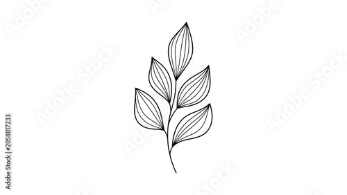 Minimalist Black and White Line Art of a Delicate Plant Stem with Leaves