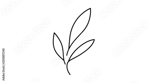 Minimalist Black Outline of a Delicate Plant Branch with Leaves on White Background