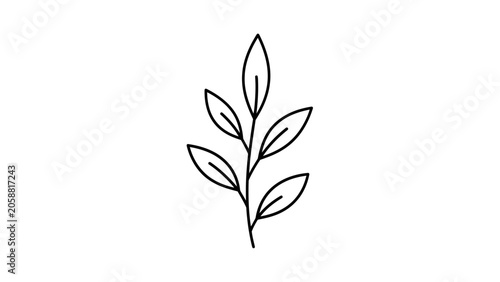 Minimalist Black Outline of a Delicate Plant Branch with Leaves on White Background