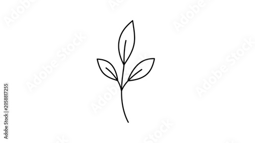 Minimalist Black Outline of a Delicate Plant Stem with Three Leaves on White Background