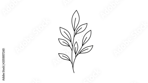 Minimalist botanical illustration of a delicate plant branch with leaves, black outline on white background.
