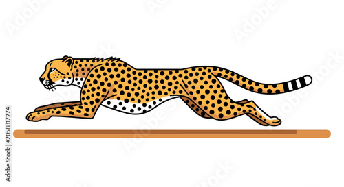 Cheetah Running Fast on Ground Surface.