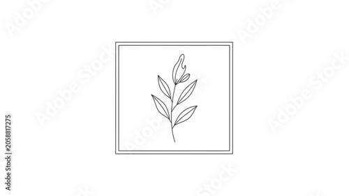 Minimalist botanical illustration of a single branch with leaves and a bud in a square frame.