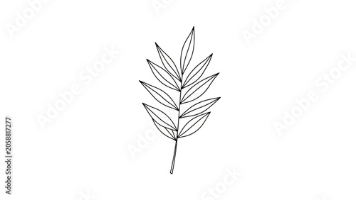 Minimalist botanical illustration of a single fern leaf, line art on white background