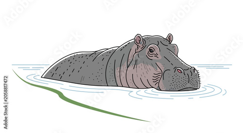 Gray Hippopotamus Swimming in Water.