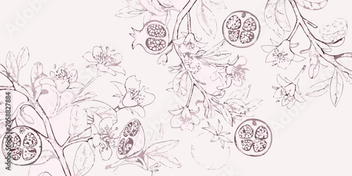 Pomegranate branch and blossoms vintage style botanical illustration