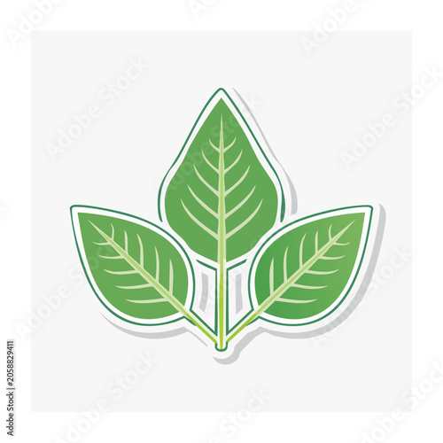 Three Green Leaves Icon on Transparent Background