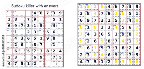 Sudoku square vector Killer Puzzle with Solutions Displayed 