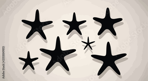Collection of Dark Black Starfish on a White Surface.