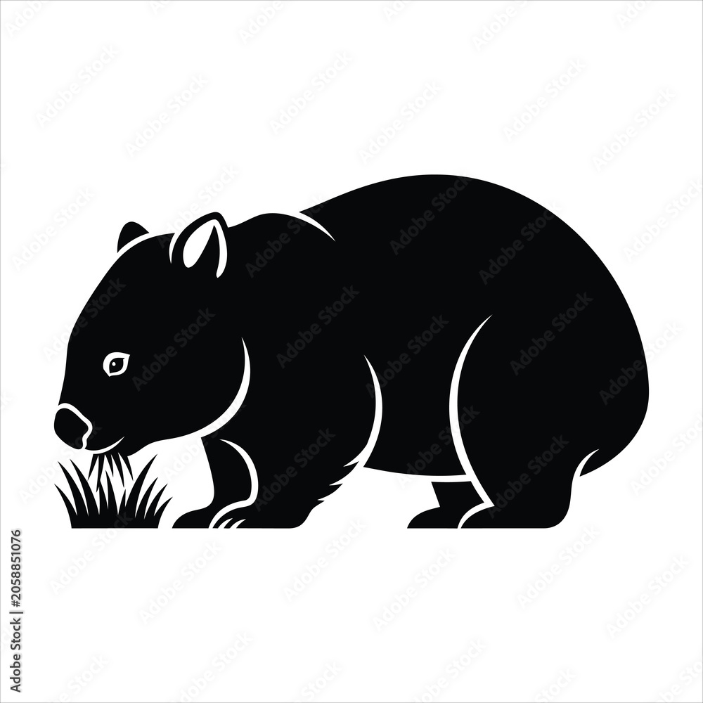 Fototapeta premium Black silhouette vector illustration of a wombat grazing on grass