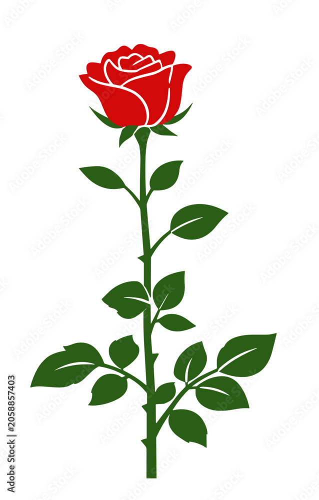 Obraz premium Red rose with a fully detailed open blossom and medium green stem with leaves. Rich floral vector illustration with visible petal layers for romantic and nature designs.