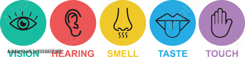 Five senses icons vision hearing smell taste and touch