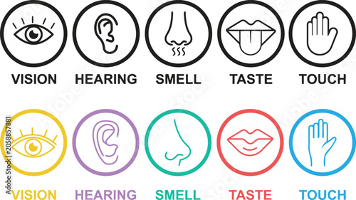 Five senses icons set vision hearing smell taste and touch illustrations