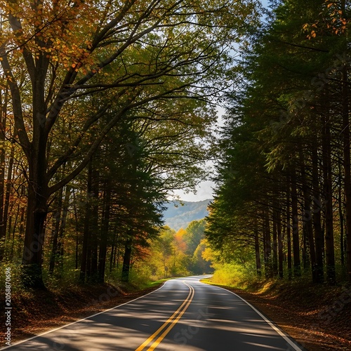 Winding forest road lined with vibrant autumn trees leading to distant hills