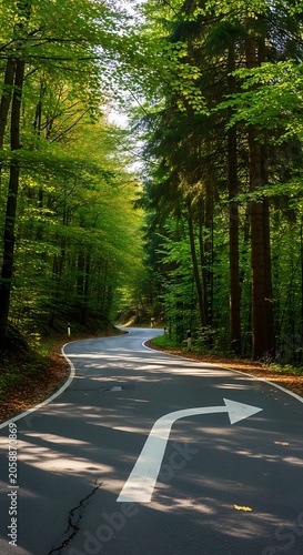 Winding forest road with directional arrow, sunlight dappling through leaves