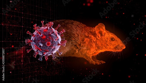 Virus transmission concept with glowing rodent and abstract virus model against a dark red background
