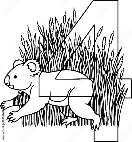 Koala climbing through tall grass illustration.