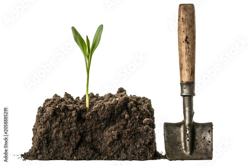 Small green sprout growing out of a soil block next to a metal garden trowel, isolated on a transparent background.