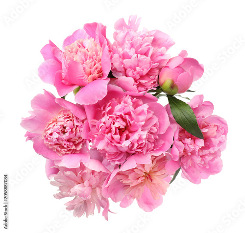 Bouquet of pink peonies with green leaves isolated on white