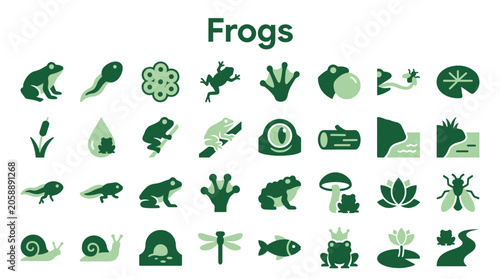 Bild auf Leinwand Collection of cute frog icons and symbols representing amphibian life cycle and