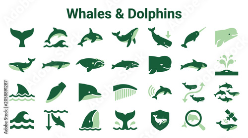 Tableau sur toile Collection of Whale and Dolphin Icons and Illustrations Representing Marine Life
