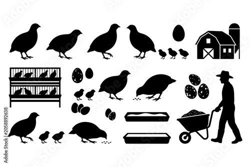Quail farming silhouettes: birds, eggs, and equipment in a farm setting.