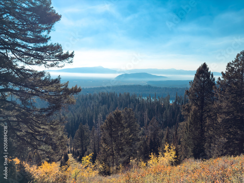 Bild auf Leinwand High angle view looking down over a pine forest towards Jackson Hole valley covered in morning mist and inversion fog