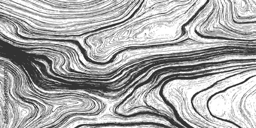 Fotografía Highly detailed abstract topographic map contour lines and organic wavy wood texture vector graphic background
