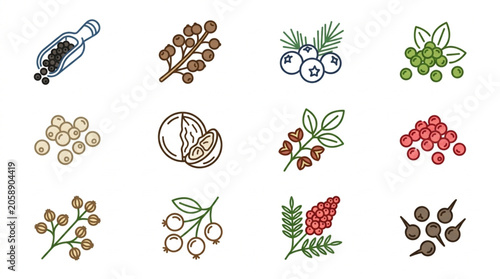 Bild auf Leinwand Collection of various berries and spices illustrated in a simple line art style