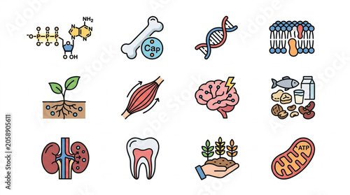 Collection of Medical Science and Biology Icons Vector Illustration.