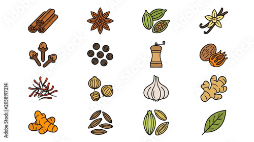 Collection of various spices and herbs in illustration style.