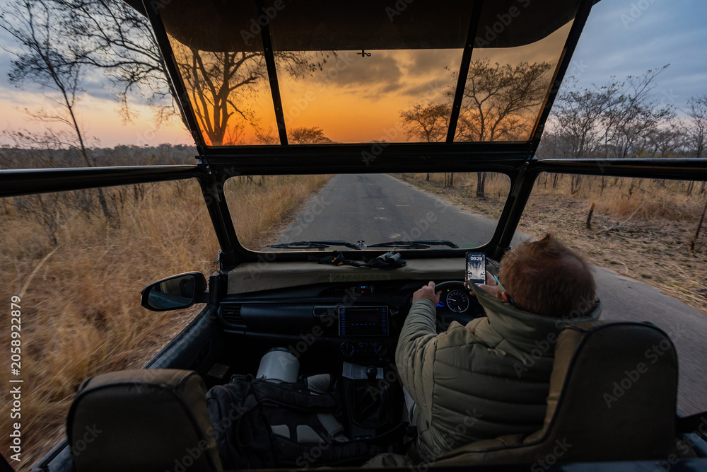 Fototapeta premium Safari vehicle driving at sunset on African bush road