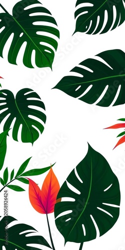Tropical leaves silhouettes against white background, showcasing palm leaf and monstera patterns, nature, white