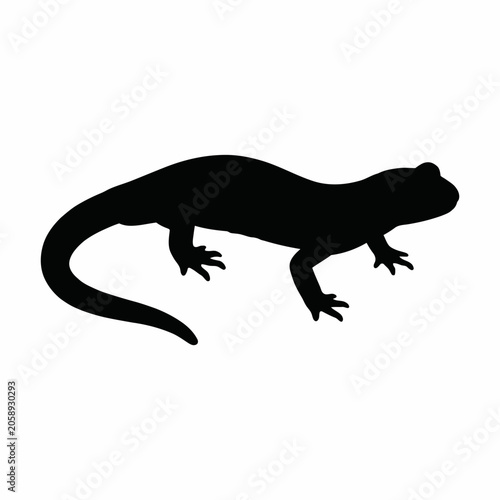 Foto Black silhouette graphic of a salamander facing right with salamander, amphibian