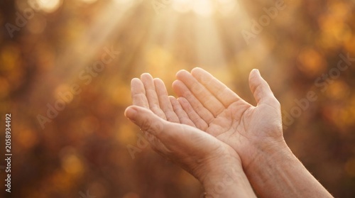 A pair of open hands reaching upwards to receive warm sunlight, evoking a sense of hope and spirituality