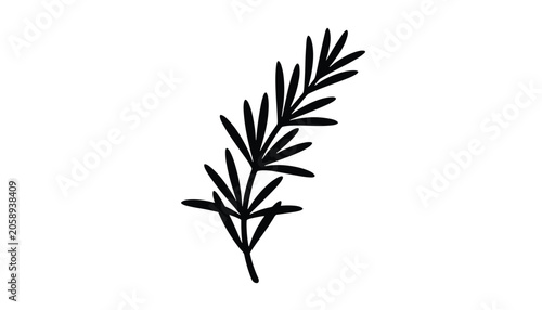 Minimalist black ink drawing of a fresh rosemary sprig or aromatic herb branch over a clean white background.