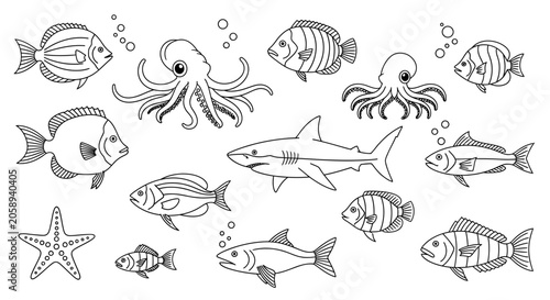 Black and white sea creatures illustrations.