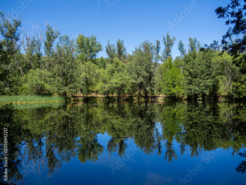 Valokuva Green forest reflecting in calm blue water