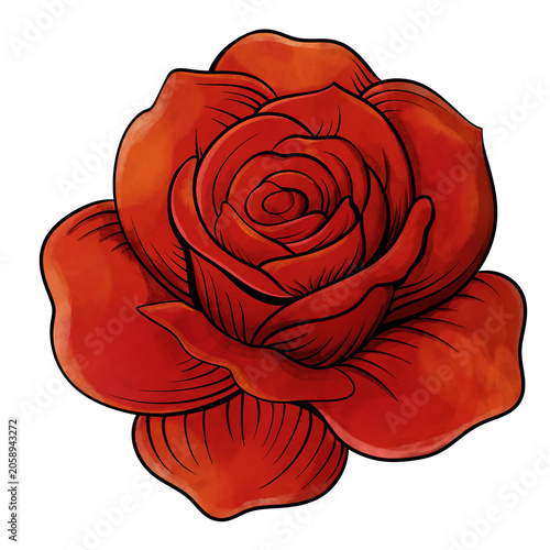 Rose Flowers Illustration
