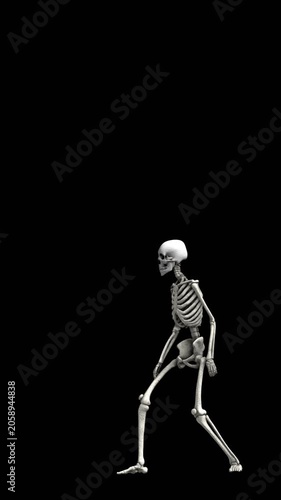 Seamless vertical video of a skeleton with thriller dance isolated with alpha channel. Funny halloween background.