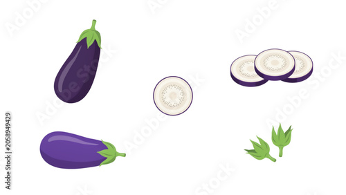 Fresh purple eggplant, sliced onion, and green parsley flat lay illustration Vector